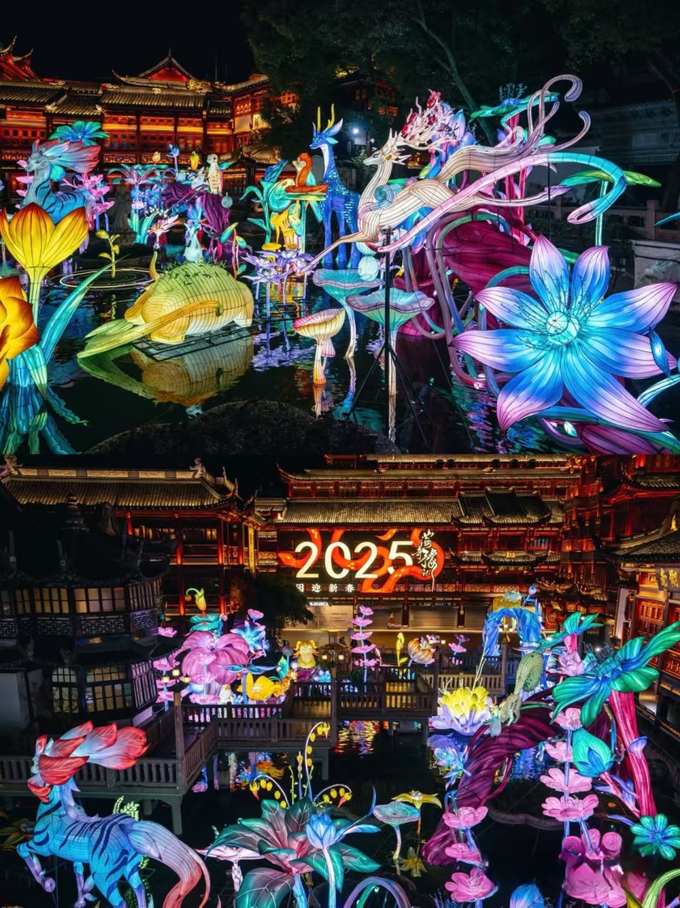 微信图片_20250126231015.jpg